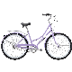  Cheap Fashion Classic 7 Speed 700c Bike Urban Holland Vintage Bike 24/26 Inch Bafang Ultra on City Bike with Basket New for Ladies/Women/Adult