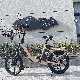  New Color 48V 350W Electric Bike 20