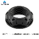  Youngparts Fast Delivery Bicycle Accessories, M5 Bicycle Motorcycle Rear Axle Hub Gr5 Grade 8.8 12PT Hex Metal M10 Wheel Titanium Nuts