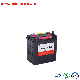  Palma Sealed Lead Acid Battery China Suppliers JIS32c24L/N40L Lead-Acid Battery Maintenance Free Mf Car Battery for Car