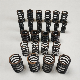 6DCT450 Mps6 Transmission Clutch Repair Parts Springs Kits manufacturer