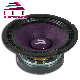 OEM Spl PRO Audio Midrange 8 Inch Car Audio Speaker manufacturer