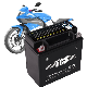  TCS Sealed Maintenance Free Lead Acid Motorcycle Battery 12N9-BS
