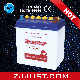  Ns40z 12volt Hot Sale Dry Charged Car Battery for Starting