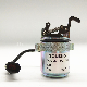 12V 24V Generator Diesel Engine Parts Stop Solenoid 04287583 manufacturer