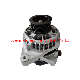  Chinese Factory Auto Alternative Alternator 27060-Bz310 for Avanza Rush