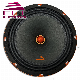 Hot Sales PRO Audio Manufacturer of Car Speakers 8 Inch Midrange Speakers manufacturer