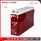  12V200ah Gel Lead Acid Front Terminal Storage Bateria/Front Access AGM Battery for Electric-Forklift-Truck/Engine/Telecom-Control-Equipment/Vs: Northstar/Shoto