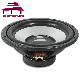  Car Audio 12inch Subwoofer Car Speakers with Good Quality