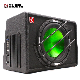 1200W Car Subwoofer Strong Car Speaker 10 Inch Subwoofer Built in Amplifier