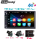 Silverstrong Car DVD Audio Radio iPod Video Stereo