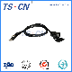 Tscn Automotive Customized Wire Harness