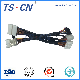Customized Wiring Audio Electrical Automotive Connector Wire Harness