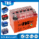  TCS YT4L-BS Sealed Maintenance Free Agm Motorcycle Lead Acid Battery
