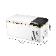  High Quality Car Refrigerator 20L Mini Fridge for Home with Silent Design