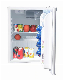  50L Solar Powered Refrigerated Containers Mini Fridge Compressor Car Fridges