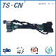 Tscn Electrical Automobile Wire Harness