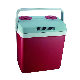 19L Wine Cooler Car Fridge Portable Small Mini Bar Fridge