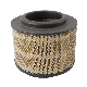  High Quality Car Air Filters for Japanese Car OEM 17801-0c010