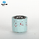  Heavy Duty Parts Spin-on Fuel Filter 377-6969 Le3758 P550318/173171