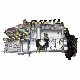  Diesel Engine Construction Machinery Engine Excavator Spare Parts dB58 Fuel Injection Pump 40091200067 1016099400 Original