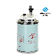 Spin-on Fuel Filter for Auto Parts Bf1329 P551067 P550730 Fs19532 Fs19932 11lb-20310 manufacturer