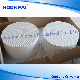 Diesel Particulate Filter DPF Catalytic Converter Ceramic for Diesel Engine Exhaust System