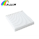  Direct Factory Price Activated Carbon Air Purifier Filter 10022770 for Honda