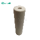  Replacement 2A5886 Hydraulic Wound Cotton Sock-Style Fuel Filter F919-C P550552