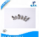 High Quality Ball Stud Ball Joint for Gas Springs