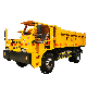  Customized Roadway Underground Transport Mine Dump Truck Dumper Truck