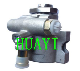 Hydraulic Steering Pump for Skoda 1j0422154j/1j0422154A