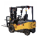 LPG Gasoline Diesel Electric Forklift Truck Sf30s for Material Handing