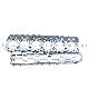 Overhaul Rebuild Kit for Mitsubishi Diesel Engine S6s