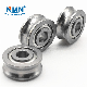  High Performance U Grooved Track Roller Wheel Bearings for Sliding Door and Window Lfr50/5-6kdd Lfr50/5-6npp 5mmx17mmx8mm