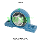 Agricultrual Bearing/Pillow Block Bearing UCP216/China Factory