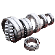 Bdl 23238cc 23240cc 23244cc 23248cc 23252cc Self-Aligning Roller Bearings