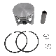  Motorcycle Engine Piston Piston Ring Piston Pin Processing Customization