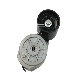 5001860058 Belt Tensioner, V-Ribbed Bel manufacturer