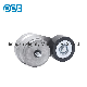  Engine Parts Timing Belt Tensioner 88997010 for Ford F-750 F-650