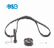 Timing Belt Tensioner Kit Vkma 01253 for VW