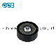  Auto Motorcycle Parts Accessories Bearing Timing V-Ribbed Belt Pulley Tensioner for Ford OE Vkm34219 25857122