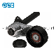  Automatic V-Ribbed Belt Tensioner Bearing Auto Parts for BMW Vkm38337