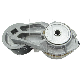 Volvo Gates T38607 Febi 18789 Dt 2.15520 Belt Tensioner, V-Ribbed Belt manufacturer