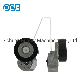  Auto Motorcycle Accessories Parts V-Ribbed Belt Tensioner Pulley Bearing for Landrover Volvo Vkm36242 T38495