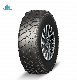  Passenger Car Tires Tour Rx1 195/60r15 195/65r15 SUV/Ht/at/Mt/Van/Lt/Mini/Taxi/Evt Tyres