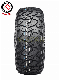 China Best PCR Car Tyres Factory Radial Tubeless Passenger Car Tyre for at Mt 4X4 SUV UHP Taxi Joy Road/Haida/Hilo/Doublestar Mud Lt Van Winter Snow Car Tire manufacturer
