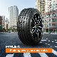  High Quality Tire Wholesale Price, PCR, Snow Winter Tyre 205 55 16 235 55 19 225 40 Summer Passenger Car Tyre PCR, Truck Tyre, OTR Tire Agriculture Tire Factory