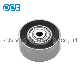  Bearing V-Ribbed Belt Tensioner Pulley Auto Parts for Lexus Toyota Vkm61032 1660331010 1660331020