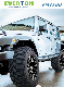 Mt Car Tyre with Everton Brand EMT300 Lt Tyre manufacturer